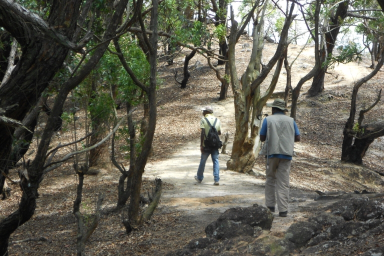 Ella: Pekoe Trail Etapa 15 Caminata guiada de Makulela a Ella