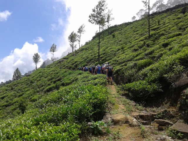 Visit The Pekoe Trail, Stage 14,St. Catherine To Makulella in Nuwara Eliya