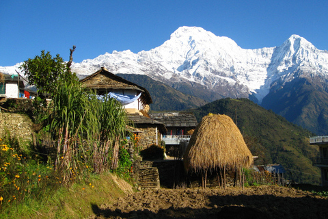 Ab Pokhara: Tageswanderung im Annapurna-Vorgebirge