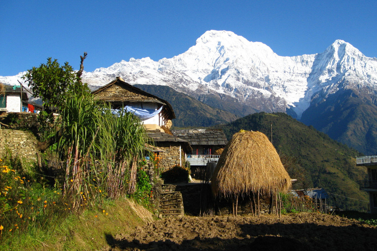 Dag Wandeling bij Annapurna Foothills