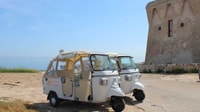 Polignano uma égua, Tuk-Tuk Tour ao longo da costa - Housity