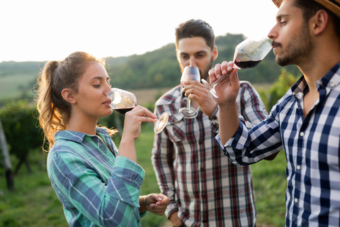 Florença: vinícolas, degustações, almoço e passeio de um dia em San GimignanoFlorença: viagem de um dia para degustação de comida e vinho Chianti