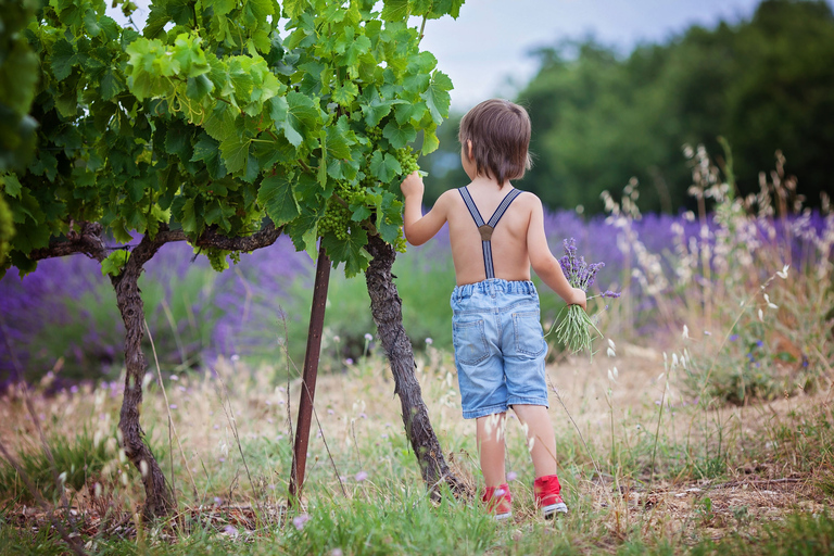 Florença: vinícolas, degustações, almoço e passeio de um dia em San GimignanoFlorença: viagem de um dia para degustação de comida e vinho Chianti