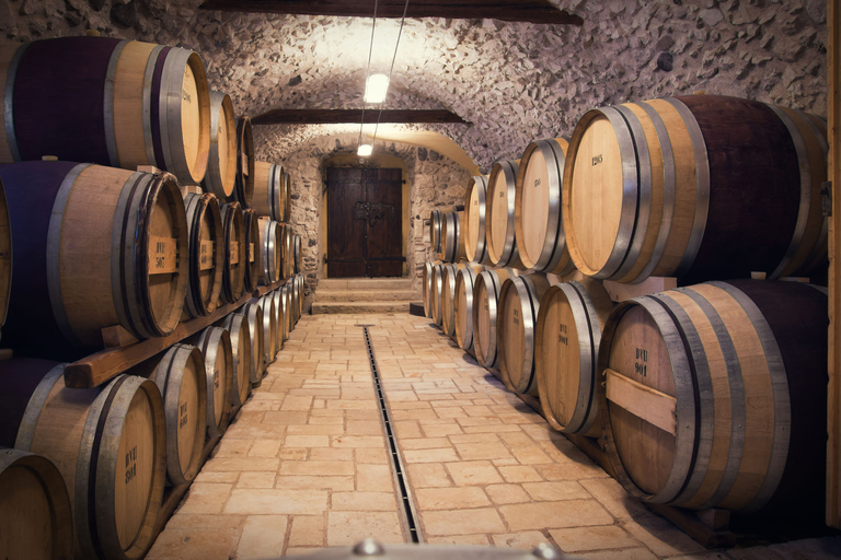 Florença: vinícolas, degustações, almoço e passeio de um dia em San GimignanoFlorença: viagem de um dia para degustação de comida e vinho Chianti