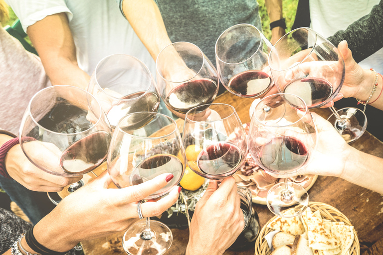 Florença: vinícolas, degustações, almoço e passeio de um dia em San GimignanoFlorença: viagem de um dia para degustação de comida e vinho Chianti