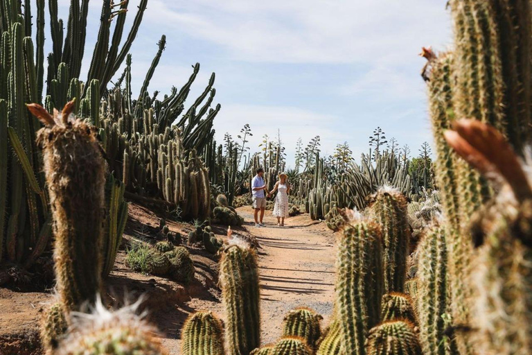 Cactus Country: Entry Ticket Strathmerton: Cactus Country General Admission Entry Ticket