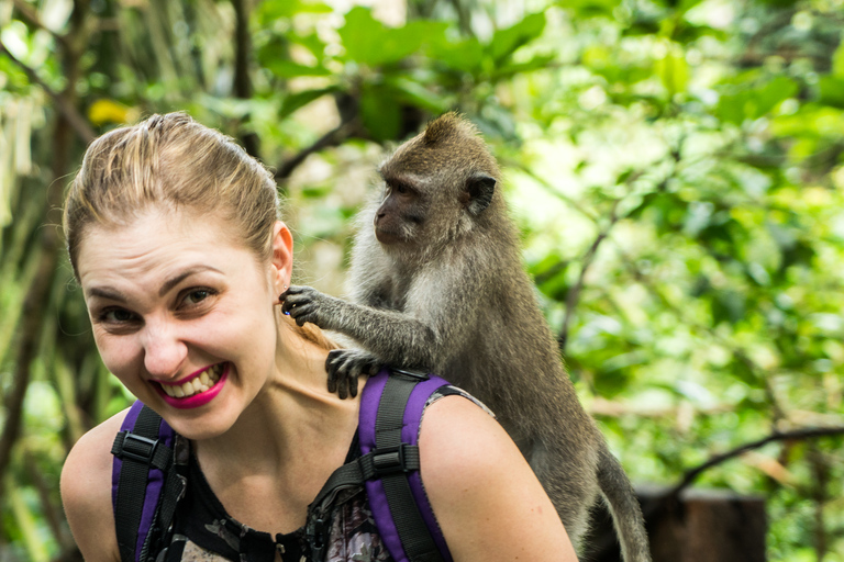 Aloha Ubud Swing with Ubud Day Tour