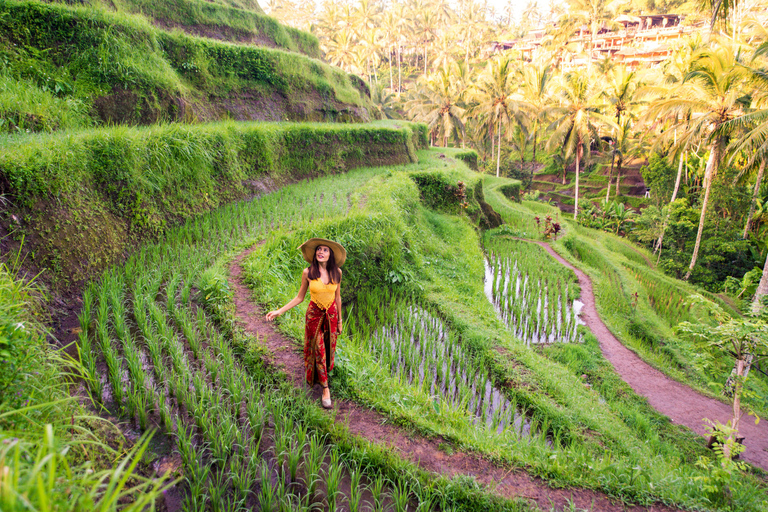 Bali: Aloha Ubud Swing med valfri dagsutflykt och aktiviteterAloha Ubud Swing och dagstur till Ubud