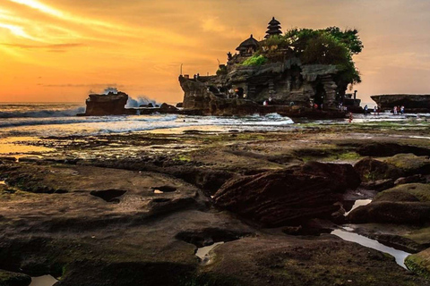 Bali: punti salienti di Ubud di 8 ore e viaggio al tramonto nel tempio di Tanah LotTour privato con trasferimento in hotel