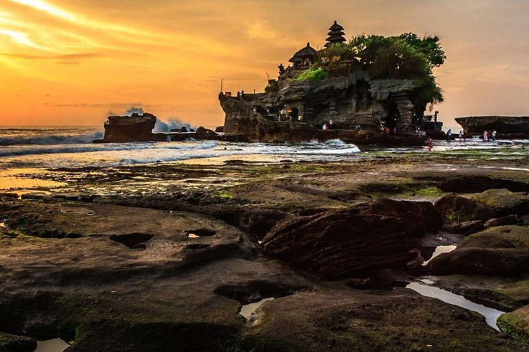 Bali: destaques de 8 horas em Ubud e viagem ao pôr do sol no templo de Tanah LotTour Privado com Transfer Hotel