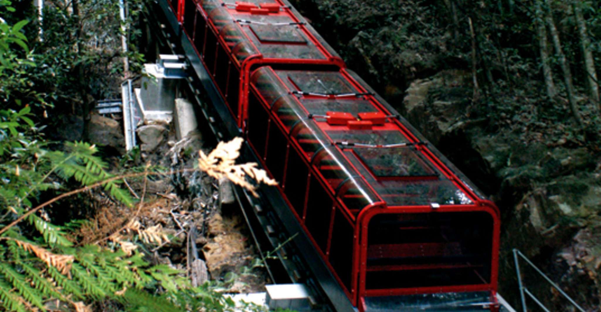 Da Sydney, Blue Mountains, Scenic World & Sydney Zoo Tour - Hizvo