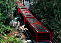 Desde Sydney, Blue Mountains, Scenic World & Sydney Zoo Tour - Hizvo