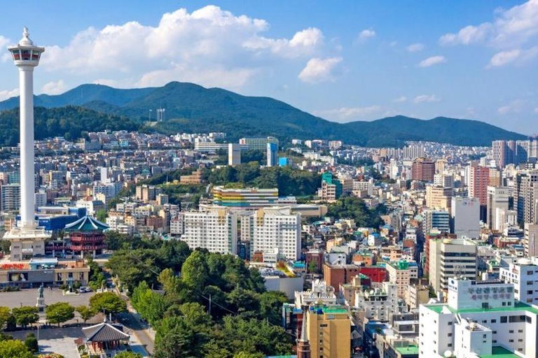 Busan City: Customizable Private Day Tour with Driver Tour by Van (Up to 7 People)