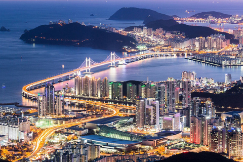 Busan City: Customizable Private Day Tour with Driver Tour by Van (Up to 7 People)