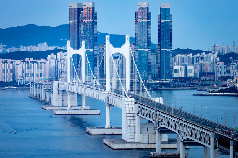 Busan City: Customizable Private Day Tour with Driver Tour by Van (Up to 7 People)