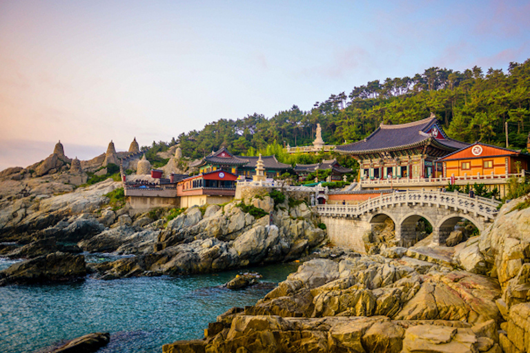 Busan City: Customizable Private Day Tour with Driver Tour by Van (Up to 7 People)