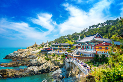 Busan City: Customizable Private Day Tour with Driver Tour by Van (Up to 7 People)