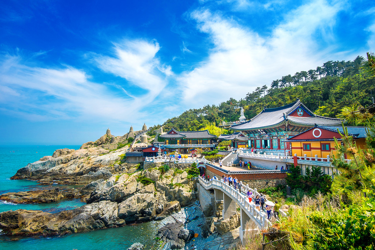 Busan City: Customizable Private Day Tour with Driver Tour by Van (Up to 7 People)