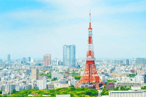 Tokio: Privater Transfer zum/vom Flughafen Narita