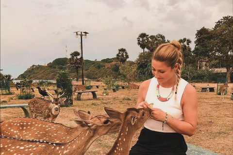 Day Trip from Sigiriya to Trincomalee: Temples, Beaches