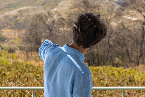 Vini di Rodi: Degustazione tradizionale di vini nei vigneti