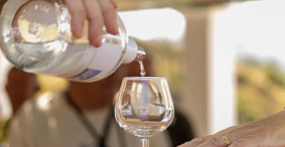 Wines of Rhodes: Traditional Wine Tasting in the vineyards