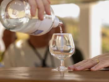 Vins de Rhodes : Dégustation de vins traditionnels dans les vignobles