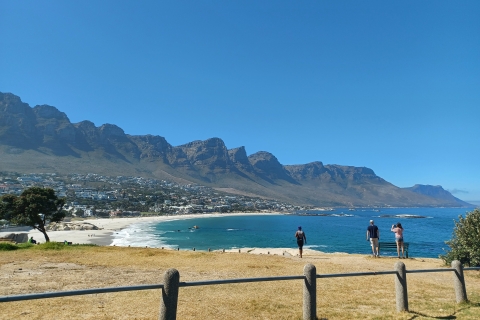 Ciudad del Cabo: Excursión de un día a la Montaña de la Mesa, Noordhoek y los PingüinosLo mejor del Cabo