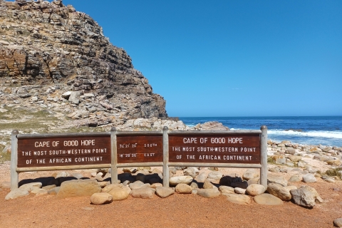 Kaapstad: Tafelberg, Noordhoek en Penguins Day TourHet beste van de Kaap