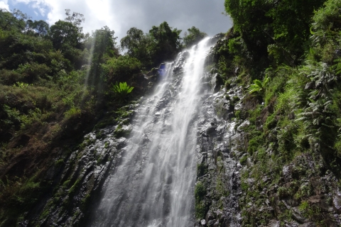 Arusha: Wodospad MateruniArusha: Wodospad Materuni i wycieczka po kawie