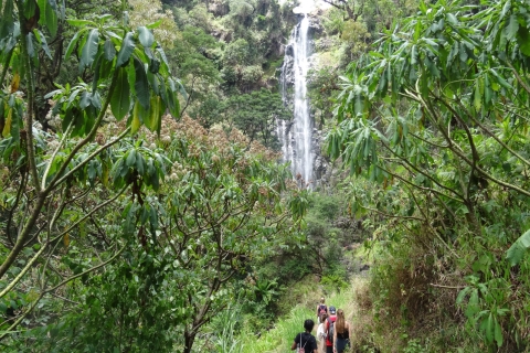 Arusha: Wodospad MateruniArusha: Wodospad Materuni i wycieczka po kawie