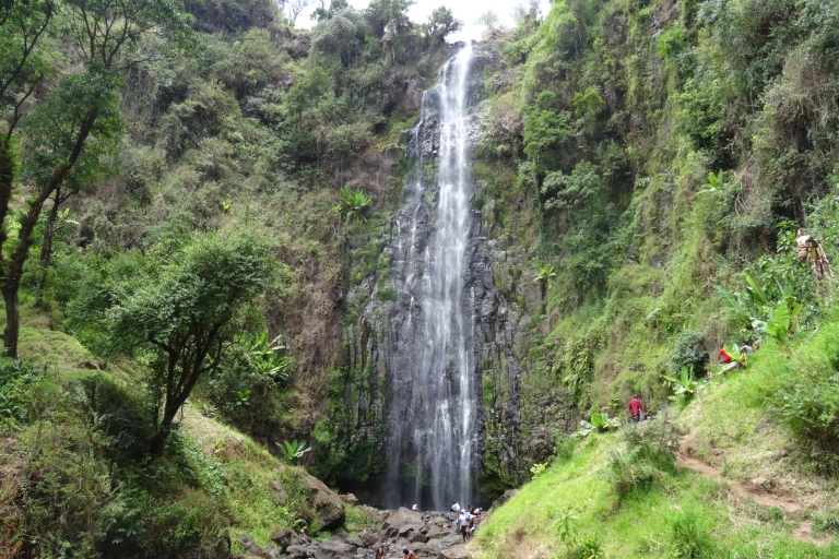 Arusha: Cascada de MateruniArusha: Cascada de Materuni y visita al café