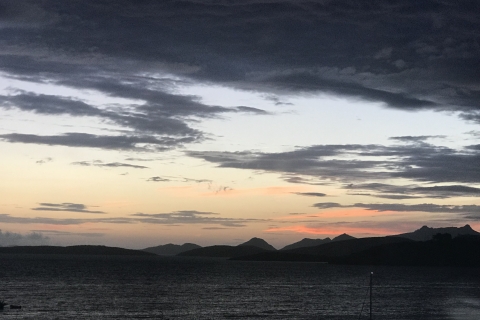 Ab Bodrum: Private Bootstour bei Sonnenuntergang mit Abendessen und Schwimmen
