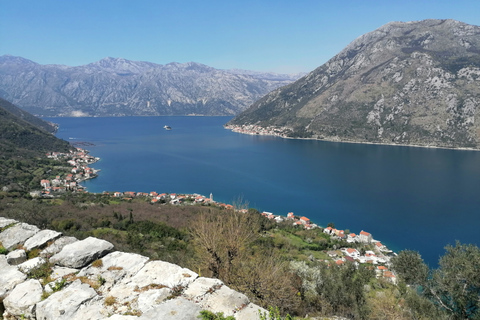 Kotor: Excursión costera en bicicleta y a pie