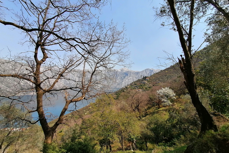 Kotor : Circuit côtier à vélo et à pied