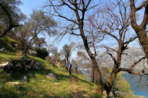 Kotor: Excursión costera en bicicleta y a pie