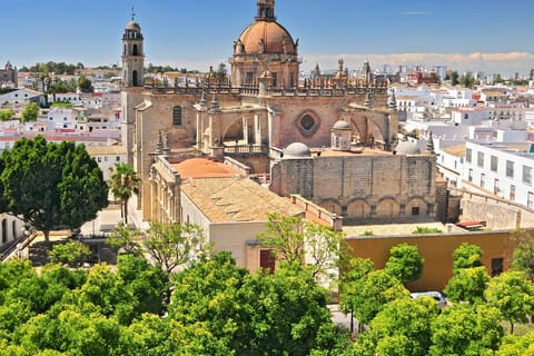 From la Costa del Sol: Jerez de la Frontera Guided Day Trip