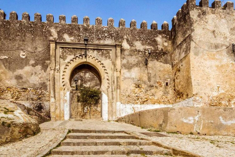 Viagem de 1 dia com guia de Casablanca a Tânger em comboio de alta velocidadeViagem de 1 dia a Tânger saindo de Casablanca