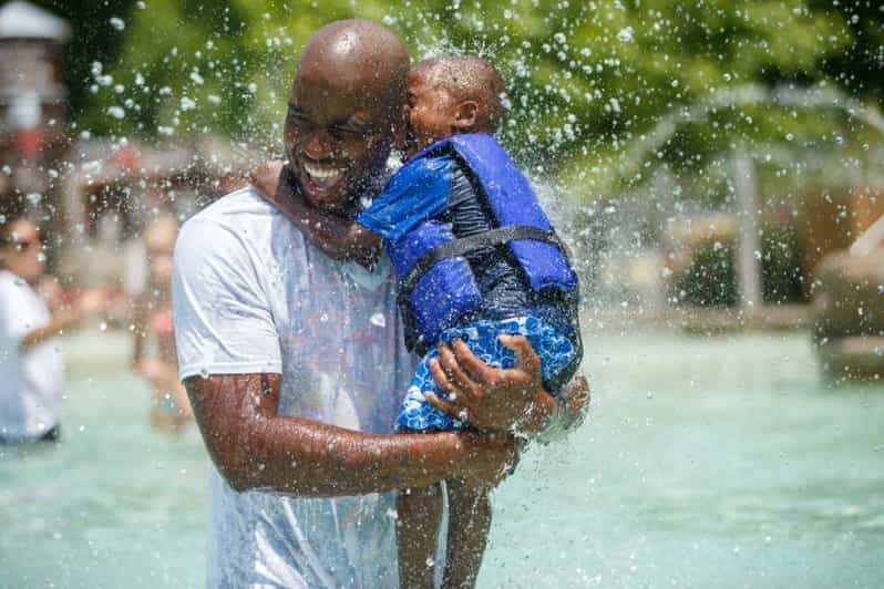 Pigeon Dollywood's Splash Country Entry Ticket GetYourGuide