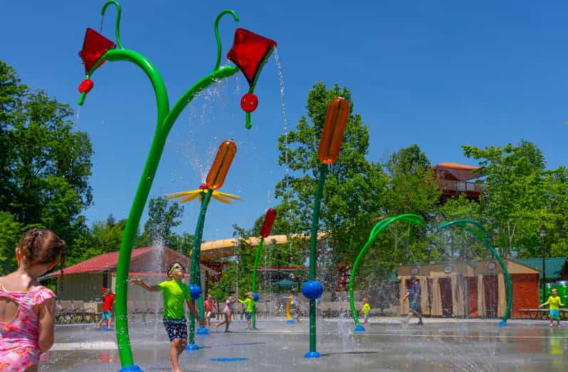 Pigeon Dollywood's Splash Country Entry Ticket GetYourGuide