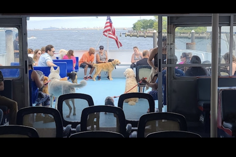 Boston: 1,5-stündige hundefreundliche Hafenrundfahrt