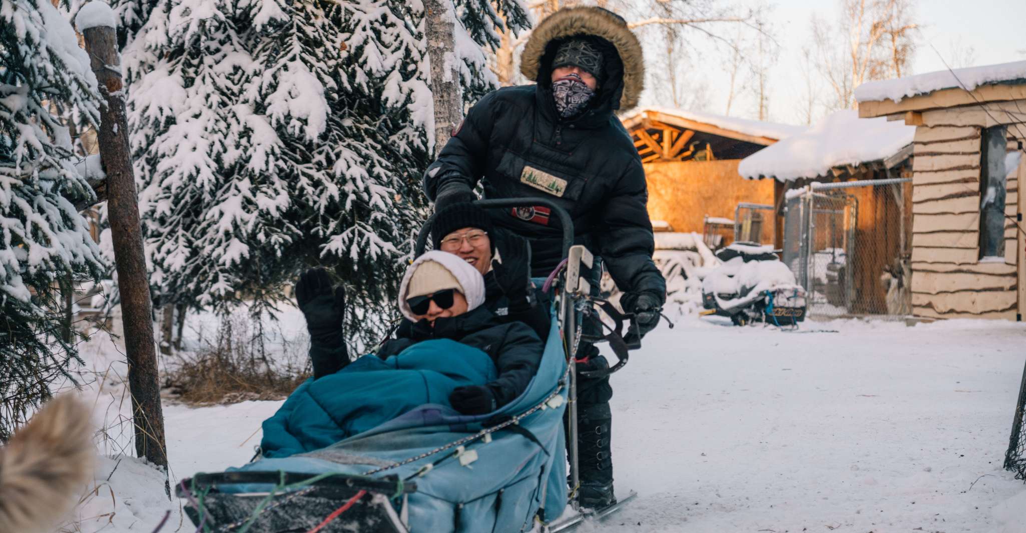 Fairbanks, Malamute Dog Sledding Tour mit Transport - Hizvo