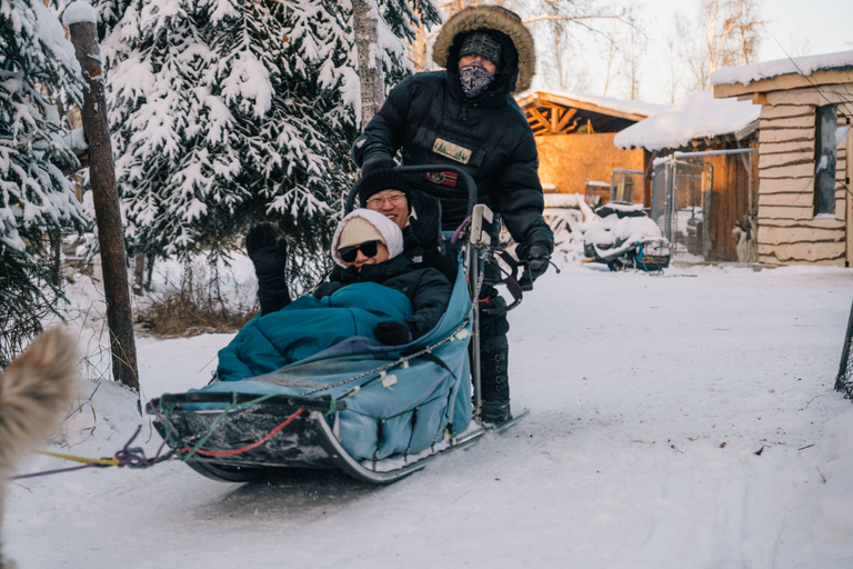 Fairbanks : Excursion en traîneau à chiens avec transport