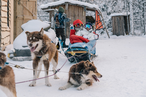 Fairbanks: Passeio de trenó puxado por cães com transporte