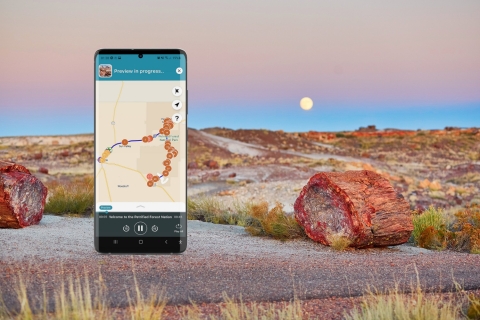 Petrified National Park: Self-Guided GPS Audio Tour Petrified National Park Tour