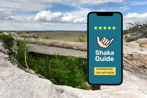 Petrified National Park: zelfgeleide GPS-audiotourVersteende Nationaal Park Tour