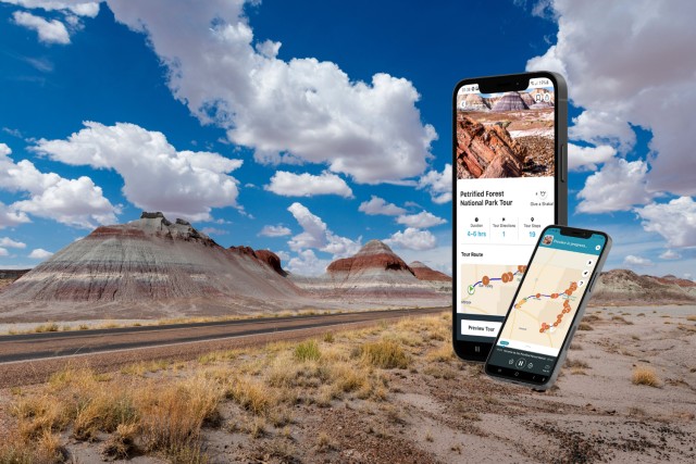 Visit Petrified National Park Self-Guided GPS Audio Tour in Holbrook, Arizona