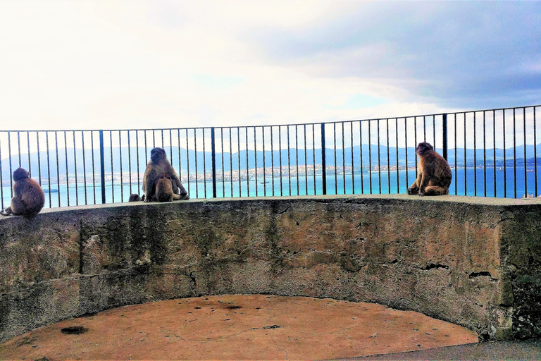 Depuis Marbella : Visite privée de Gibraltar et Estepona