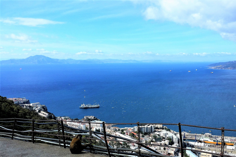 From Marbella: Gibraltar and Estepona private tour