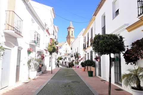 From Marbella: Gibraltar and Estepona private tour